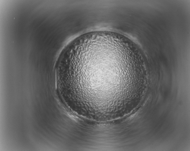 X0000068271223200604241249