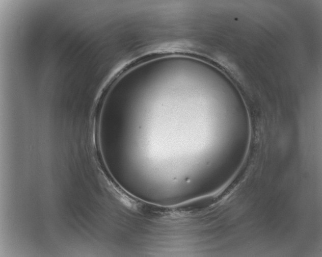 X0000068271224200604241249