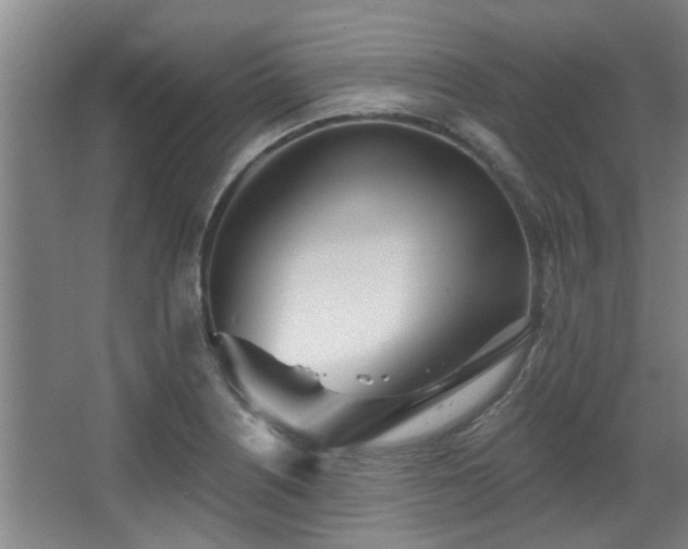 X0000068271226200604241249