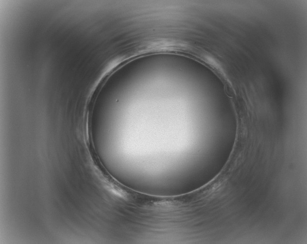 X0000068271227200604241249