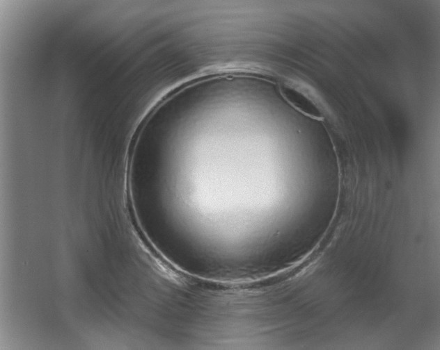 X0000068271228200604241249