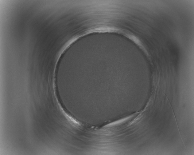 X0000068271229200604241249