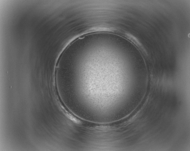 X0000068271236200604241249