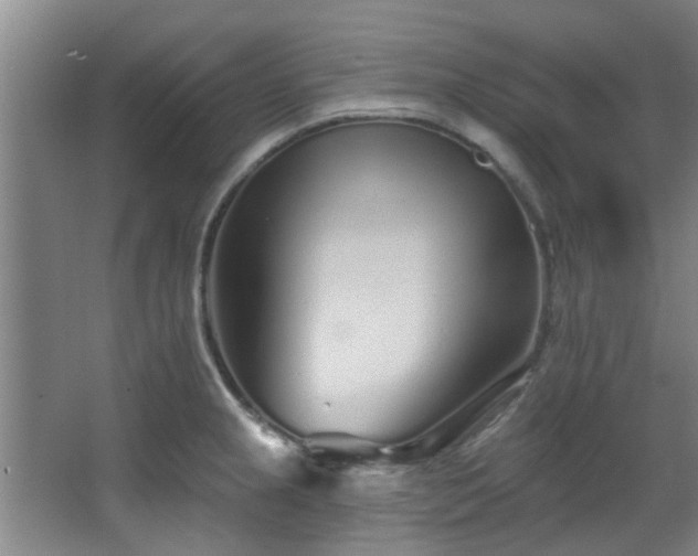 X0000068271237200604241249