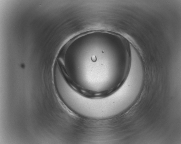 X0000068271238200604241249