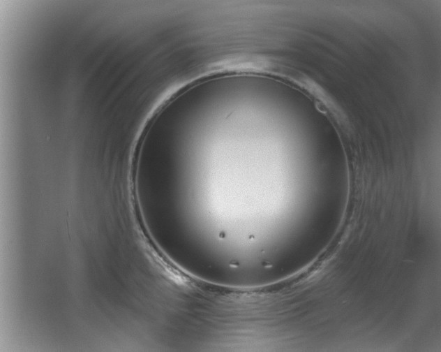 X0000068271240200604241249