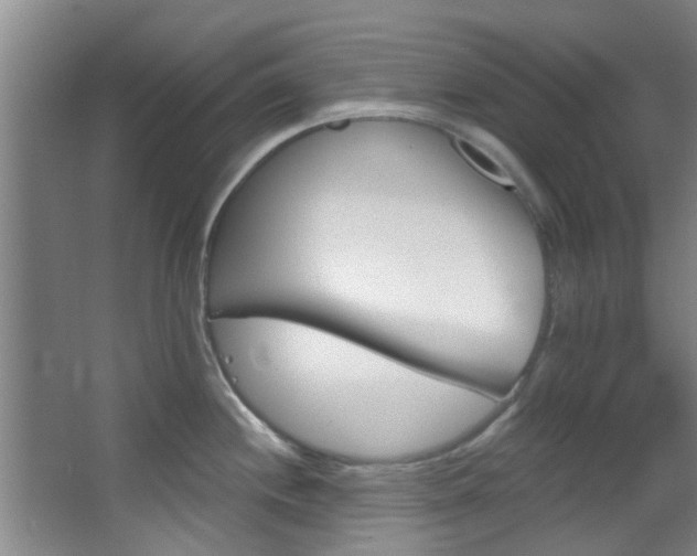 X0000068271244200604241249