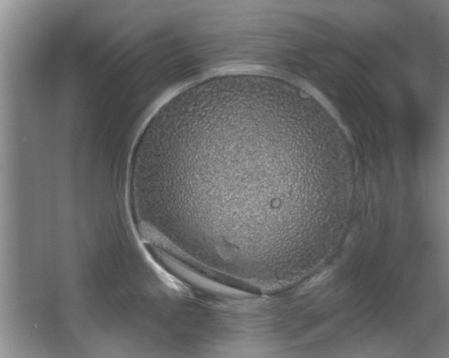 X0000068271245200604241249