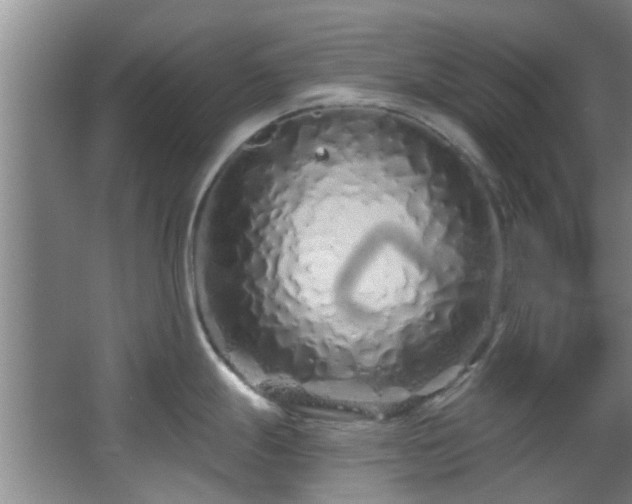 X0000068271247200604241249