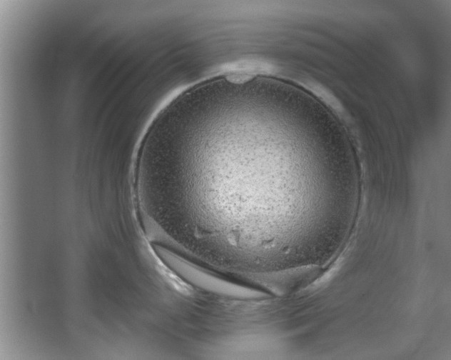 X0000068271248200604241249