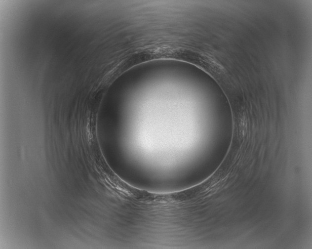 X0000068271250200604241249