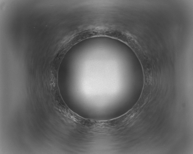 X0000068271253200604241249