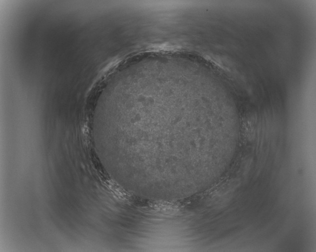 X0000068271254200604241249