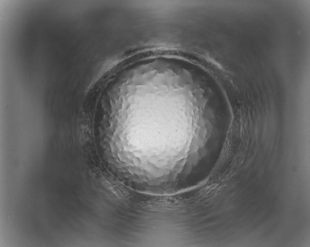 X0000068271255200604241249