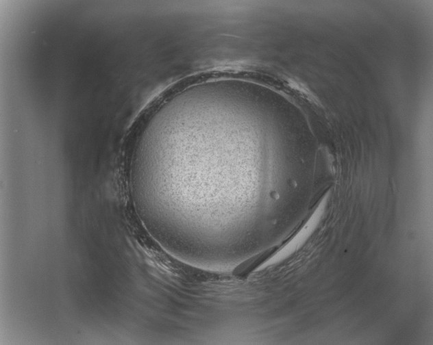 X0000068271256200604241248