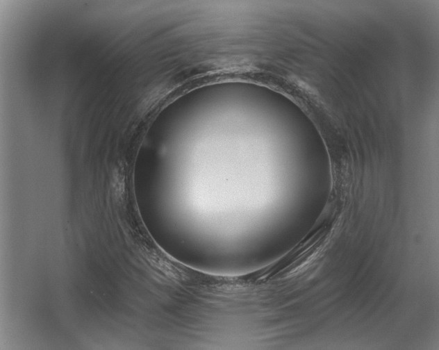 X0000068271257200604241248