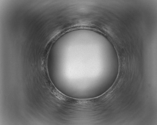 X0000068271258200604241248