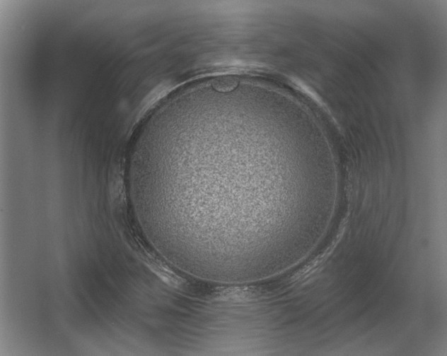 X0000068271259200604241248