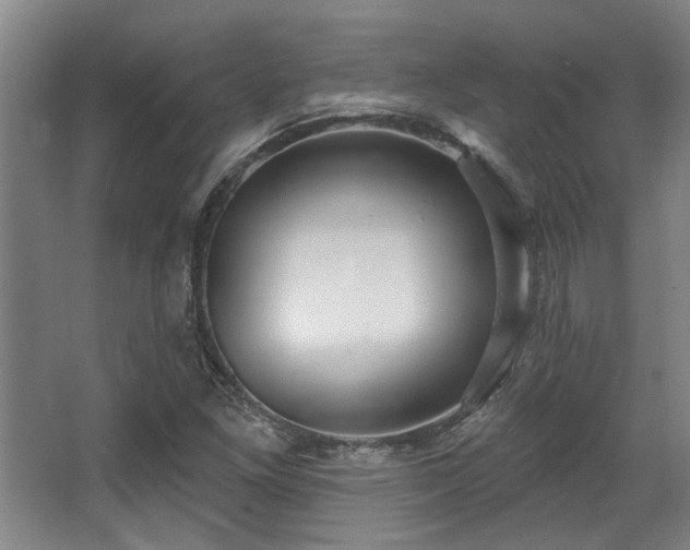 X0000068271261200604241248