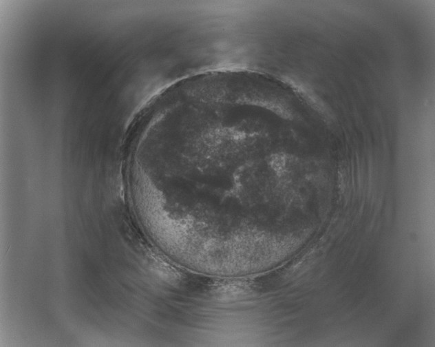 X0000068271262200604241248