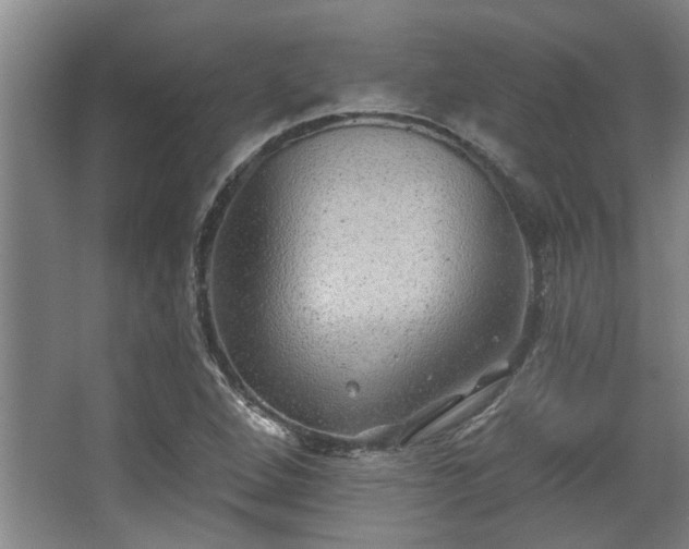 X0000068271264200604241248