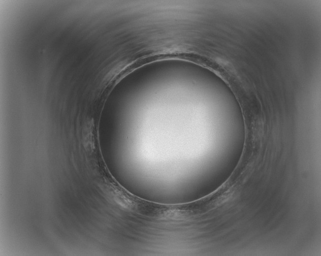 X0000068271265200604241248