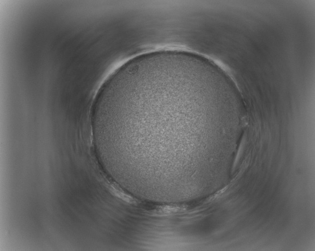 X0000068271271200604241248