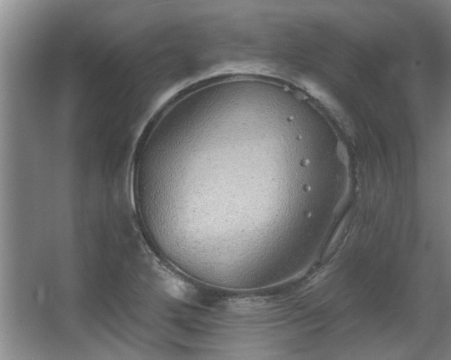 X0000068271272200604241248