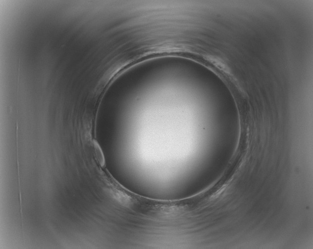 X0000068271273200604241248