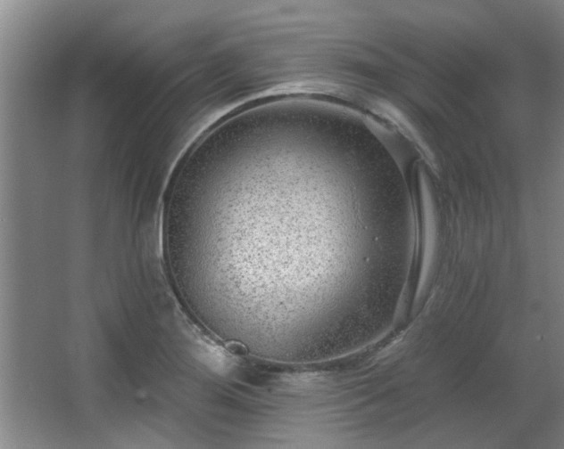 X0000068271276200604241248