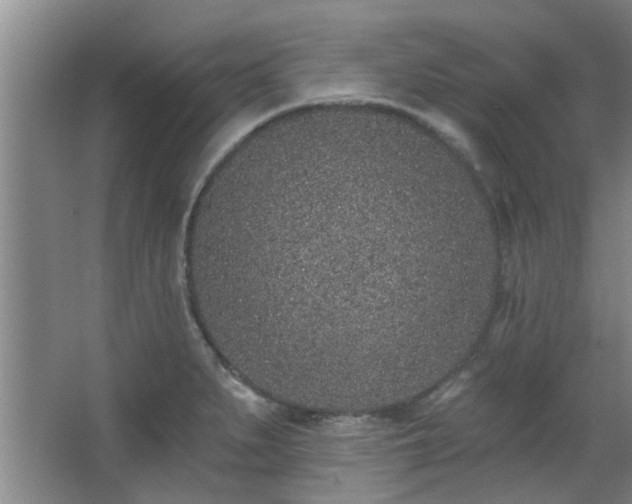 X0000068271279200604241248