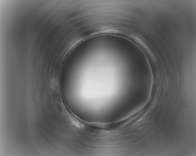 X0000068271281200604241248