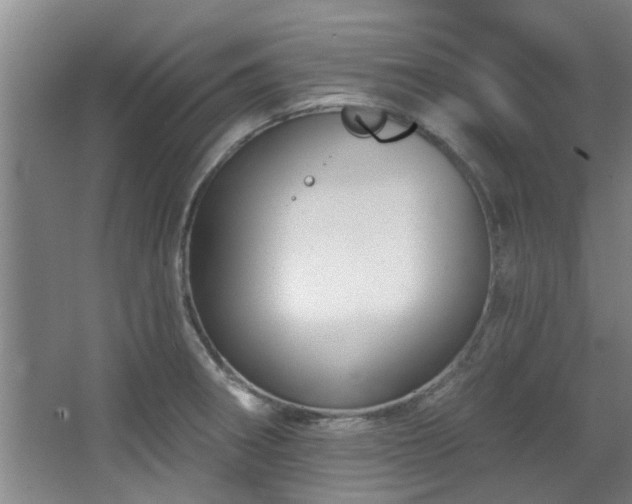 X0000068271282200604241248