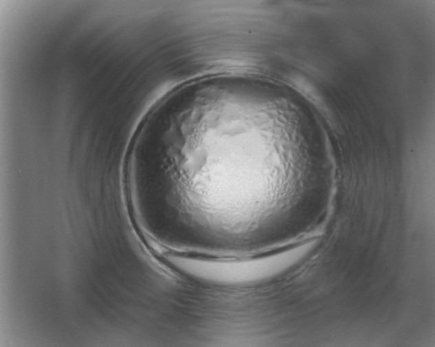 X0000068271283200604241248