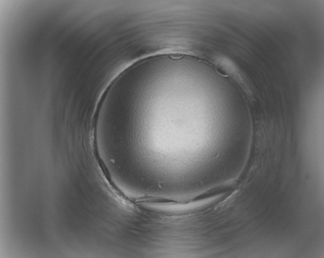 X0000068271284200604241248