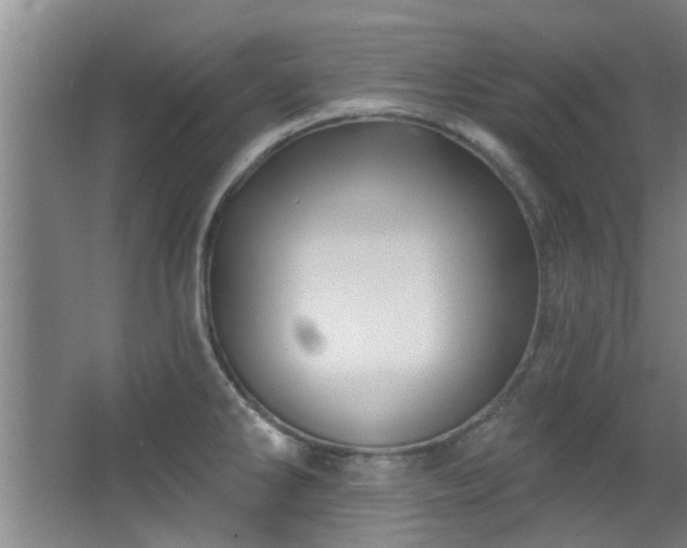 X0000068271286200604241248