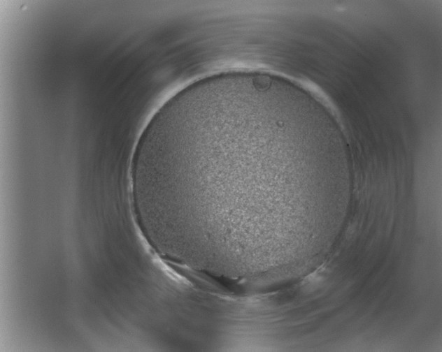 X0000068271287200604241248