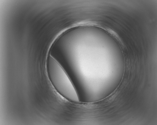 X0000068271288200604241248