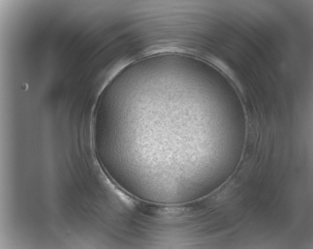 X0000068271290200604241248