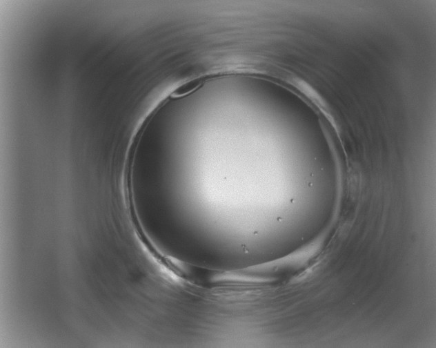 X0000068271293200604241248