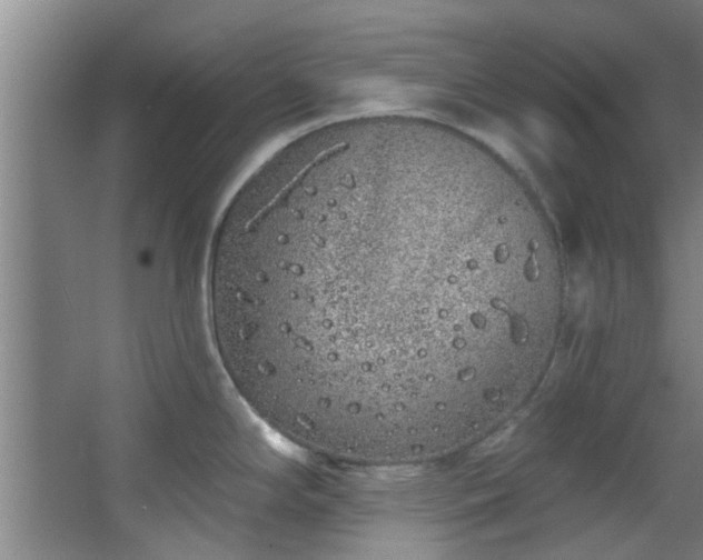 X0000068271294200604241248