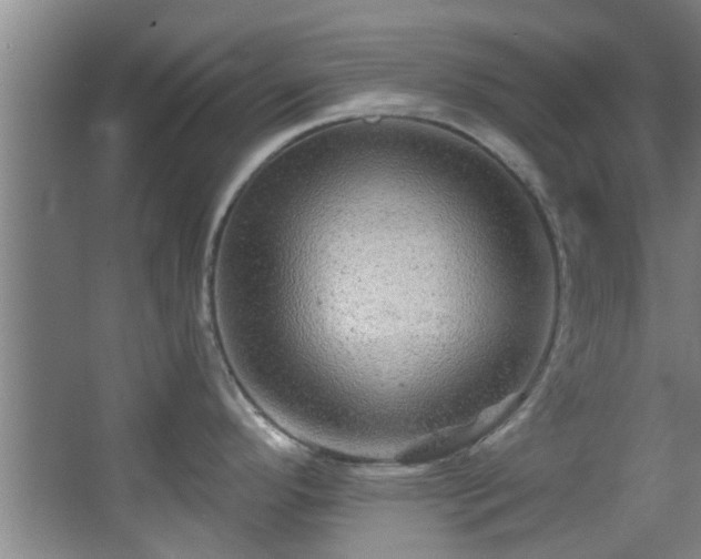 X0000068271296200604241248