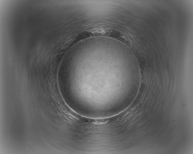 X0000068271297200604241247