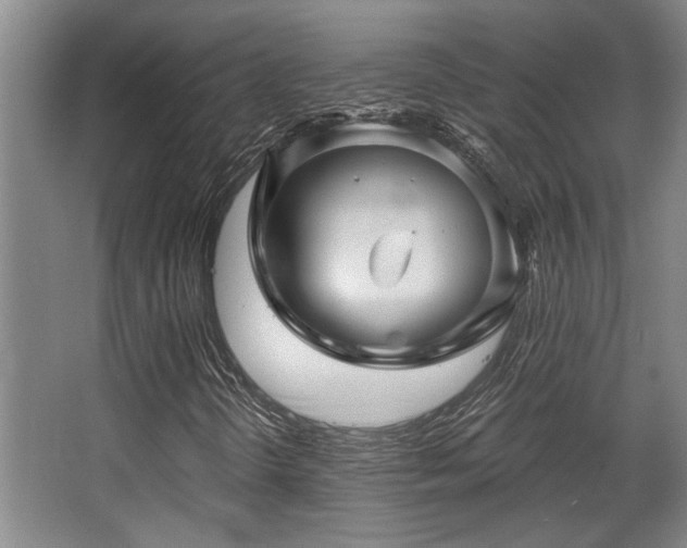 X0000068271298200604241247