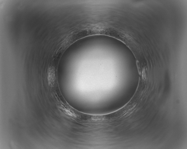 X0000068271299200604241247