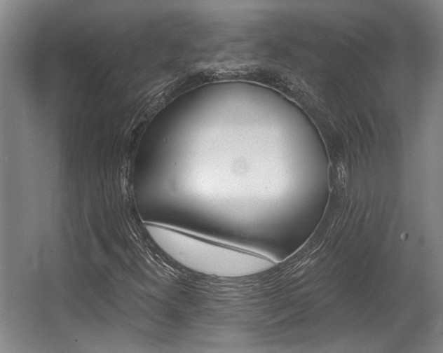 X0000068271300200604241247