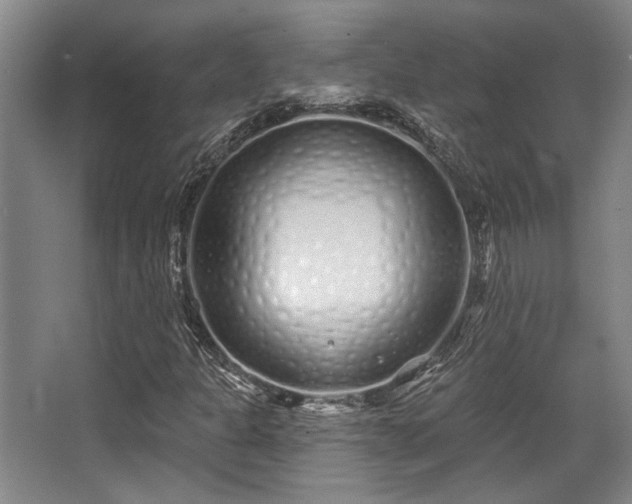 X0000068271301200604241247