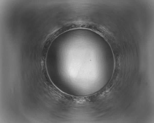 X0000068271302200604241247