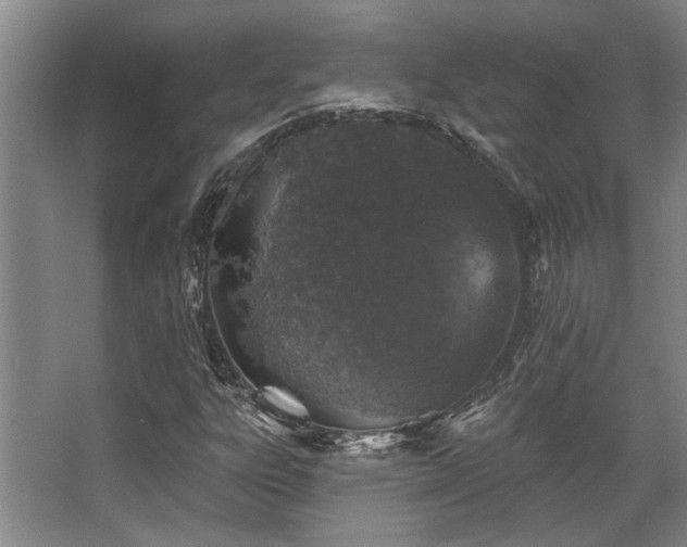 X0000068271303200604241247