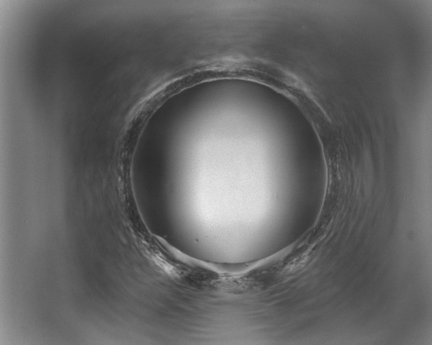 X0000068271304200604241247